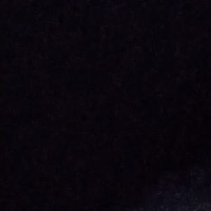 Meet your Posher, Rodney